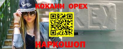 молекула духа Камышлов