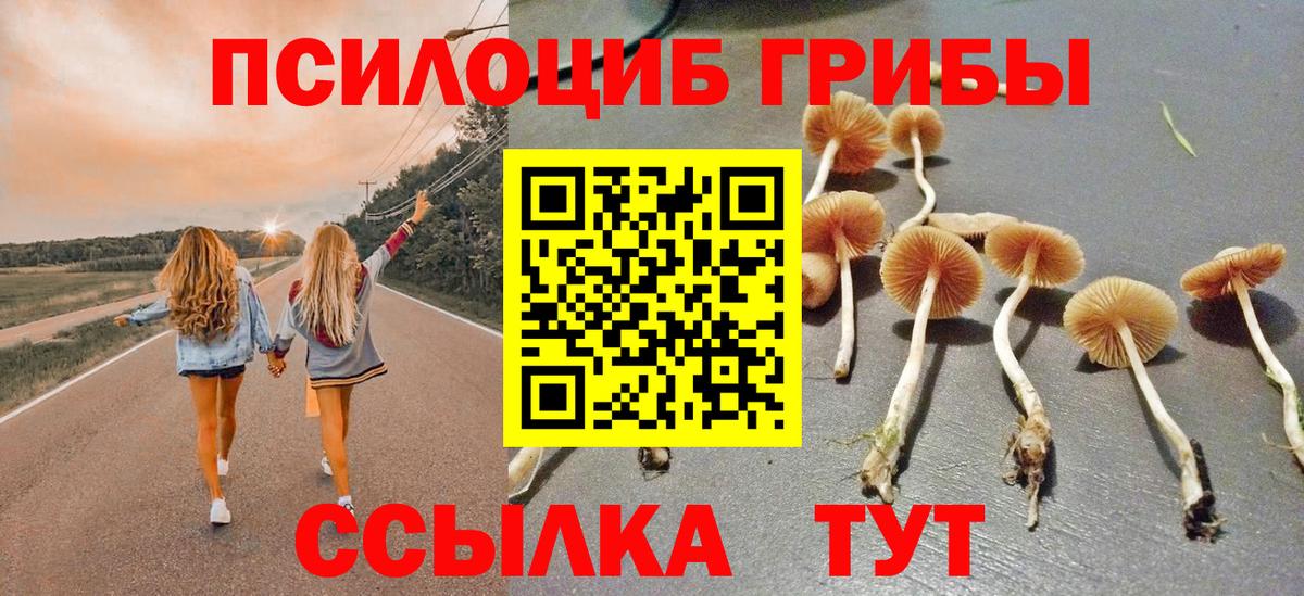 Псилоцибиновые грибы MAGIC MUSHROOMS  Вход с VPN  Дальнереченск  Псилоцибиновые грибы Cubensis 